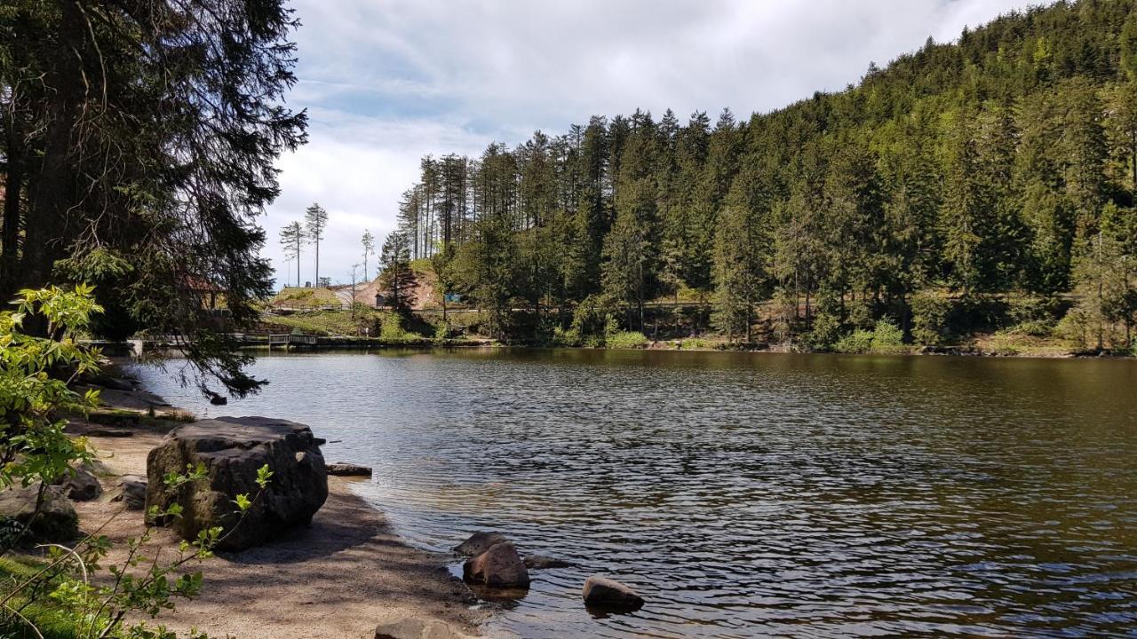 באיירסברון Ferienwohnung Tannenballett Im Schwarzwald מראה חיצוני תמונה
