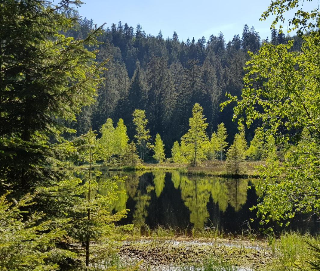 באיירסברון Ferienwohnung Tannenballett Im Schwarzwald מראה חיצוני תמונה