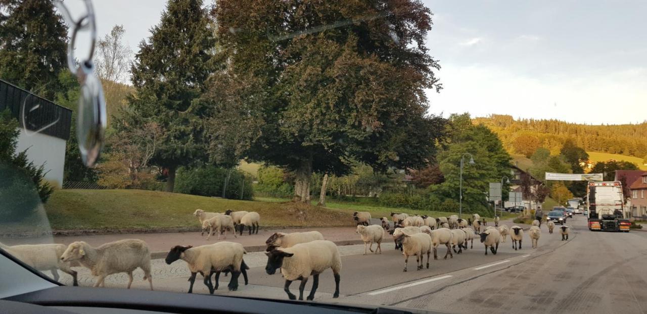 באיירסברון Ferienwohnung Tannenballett Im Schwarzwald מראה חיצוני תמונה