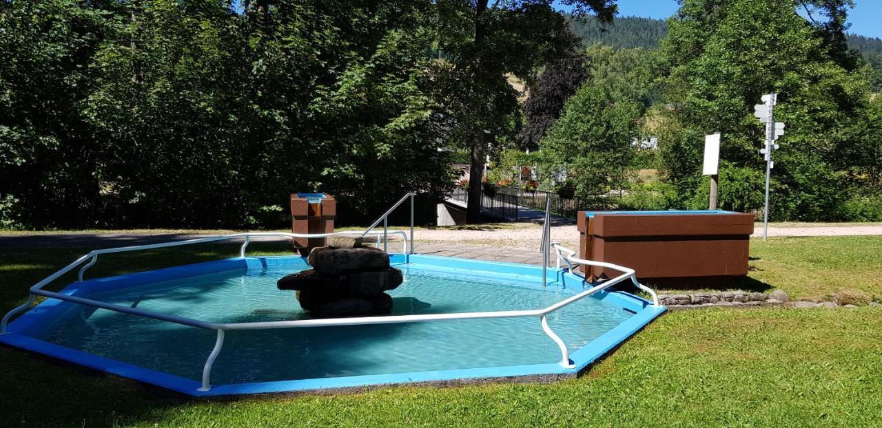 באיירסברון Ferienwohnung Tannenballett Im Schwarzwald מראה חיצוני תמונה
