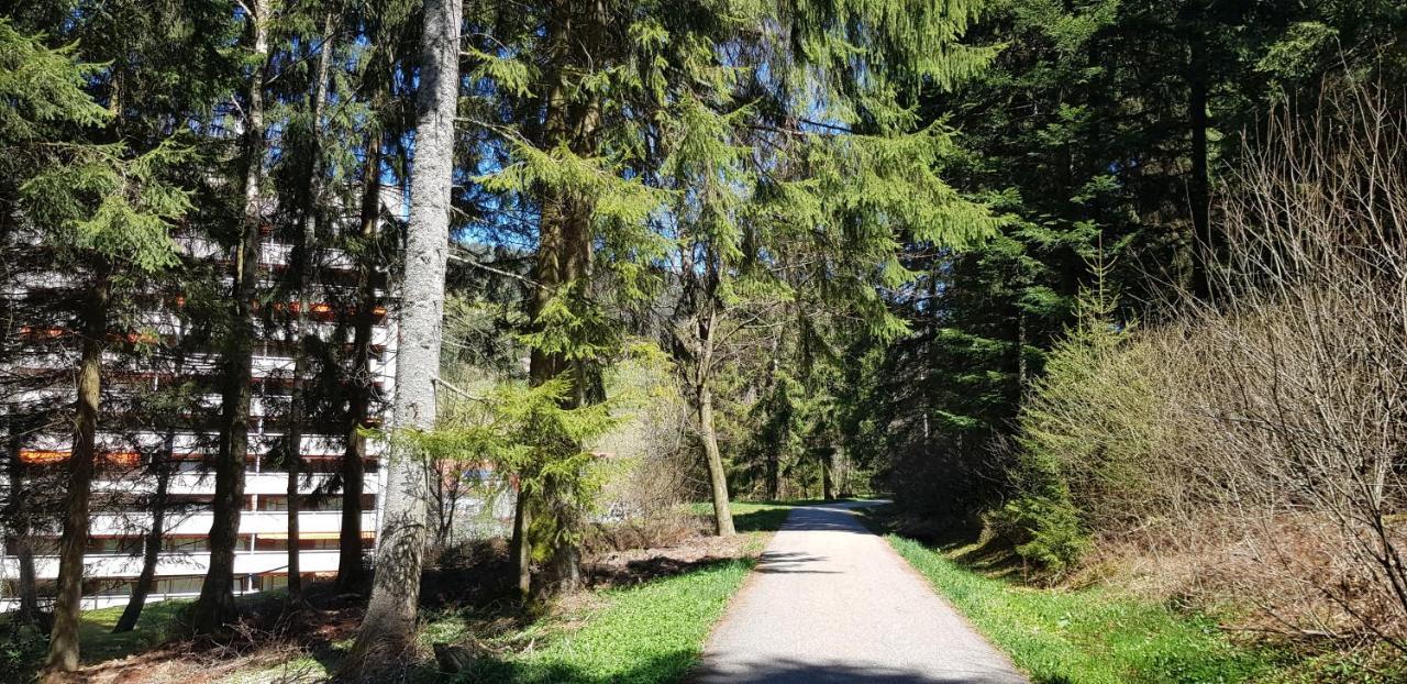 באיירסברון Ferienwohnung Tannenballett Im Schwarzwald מראה חיצוני תמונה