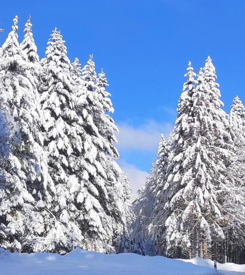 באיירסברון Ferienwohnung Tannenballett Im Schwarzwald מראה חיצוני תמונה