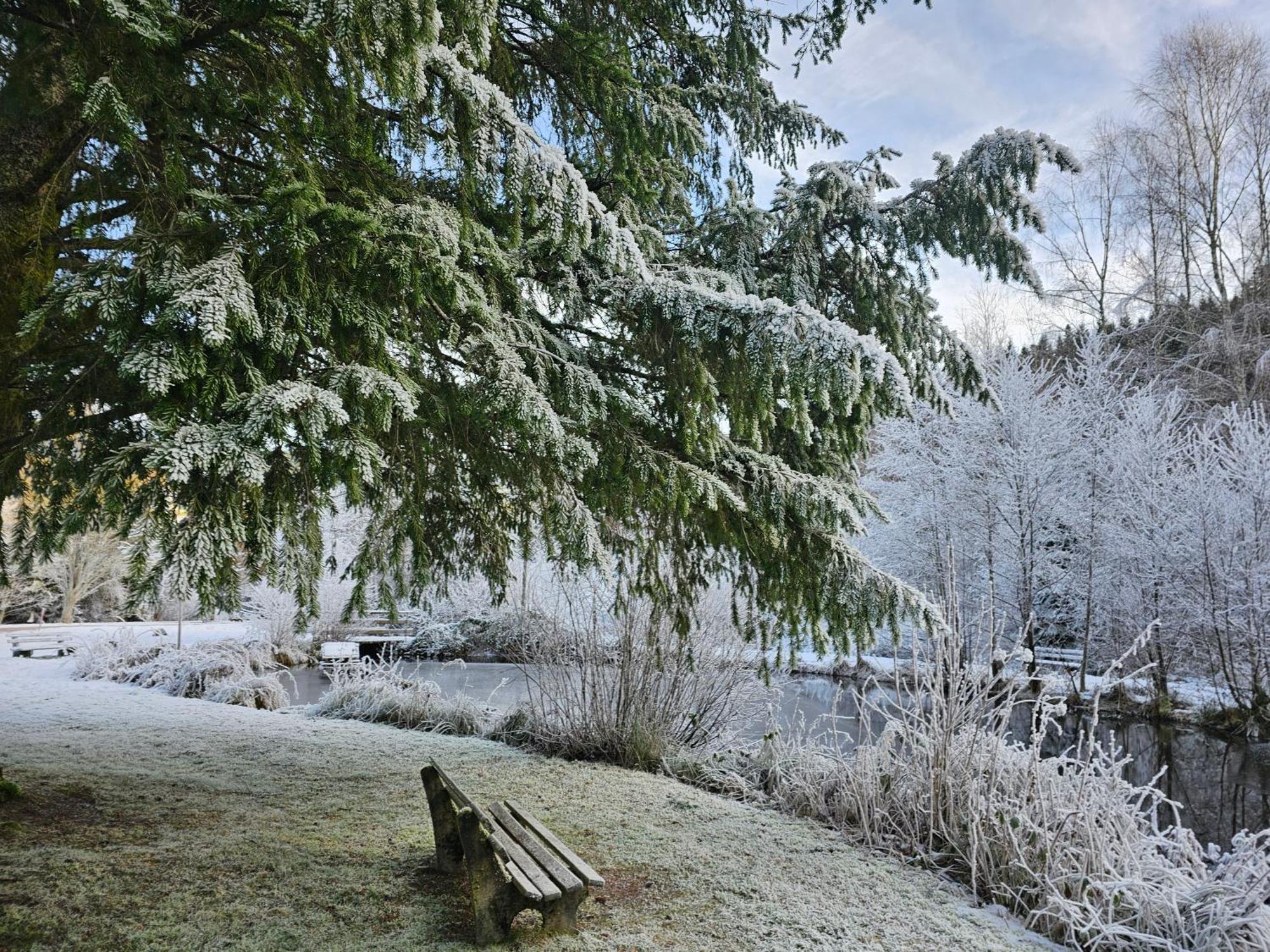 באיירסברון Ferienwohnung Tannenballett Im Schwarzwald מראה חיצוני תמונה